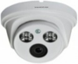 Camera AHD WTC-D101C độ phân giải 1.3 MP 