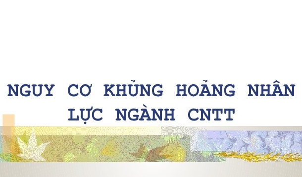 Khủng hoảng nhân lực phần mềm